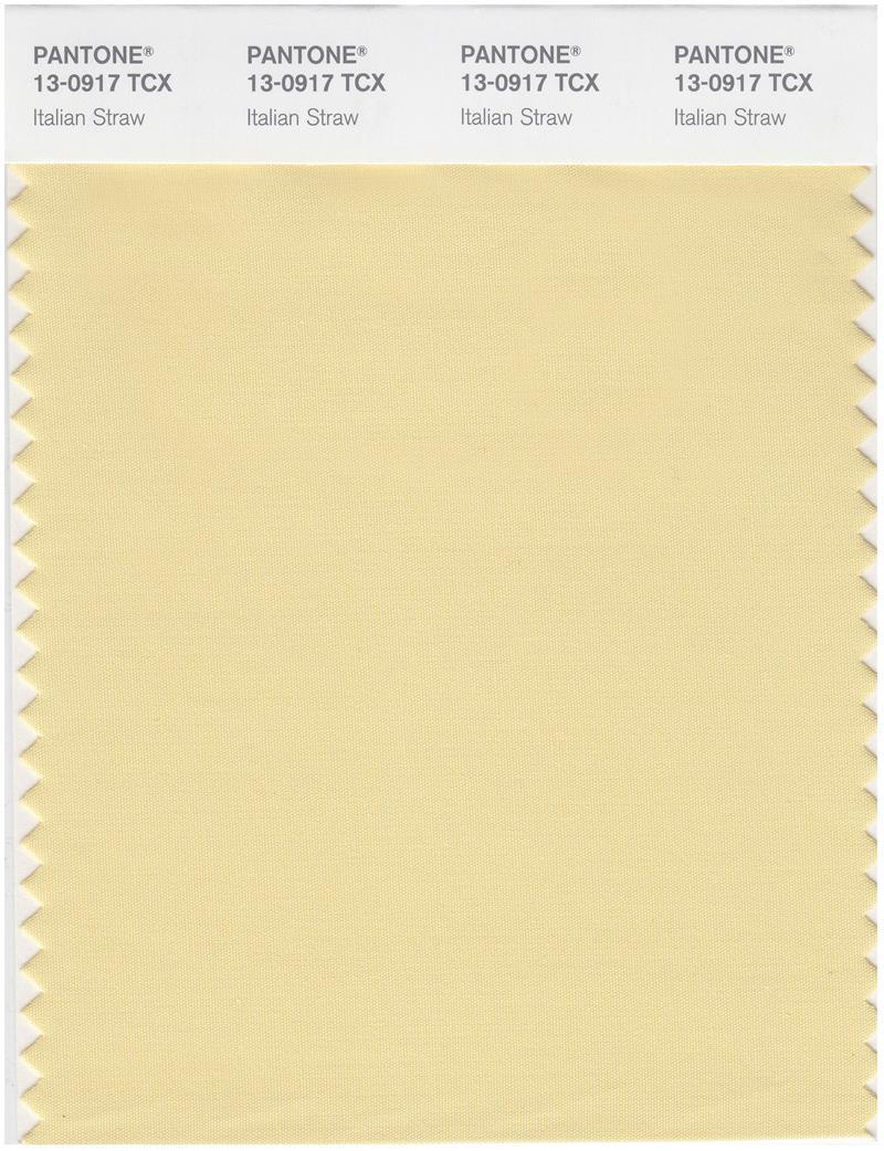 Pantone Smart 13-0917 TCX Color Swatch Card | Italian Straw | Magazine ...