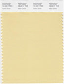 Pantone Smart 13-0917 TCX Color Swatch Card | Italian Straw