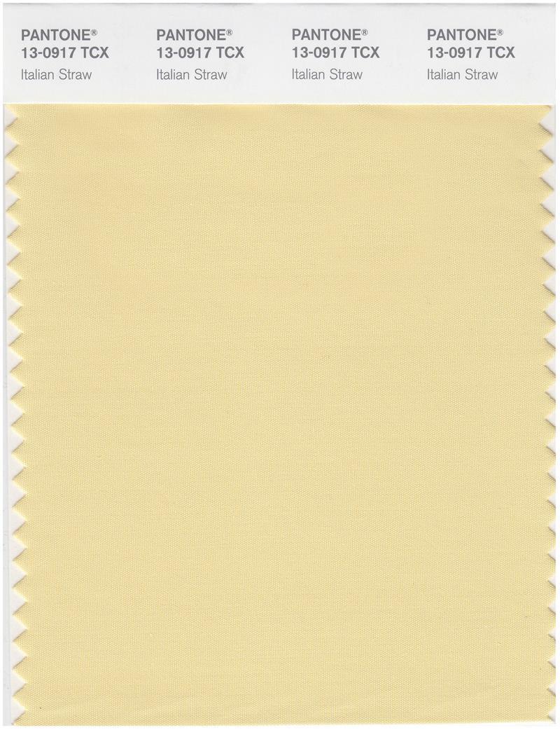 Pantone Smart 13-0917 TCX Color Swatch Card | Italian Straw