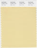 Pantone Smart 13-0917 TCX Color Swatch Card | Italian Straw