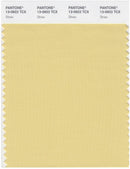 Pantone Smart 13-0922 TCX Color Swatch Card | Straw