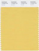 Pantone Smart 13-0932 TCX Color Swatch Card | Cornsilk