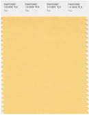 Pantone Smart 13-0935 TCX Color Swatch Card | Flax