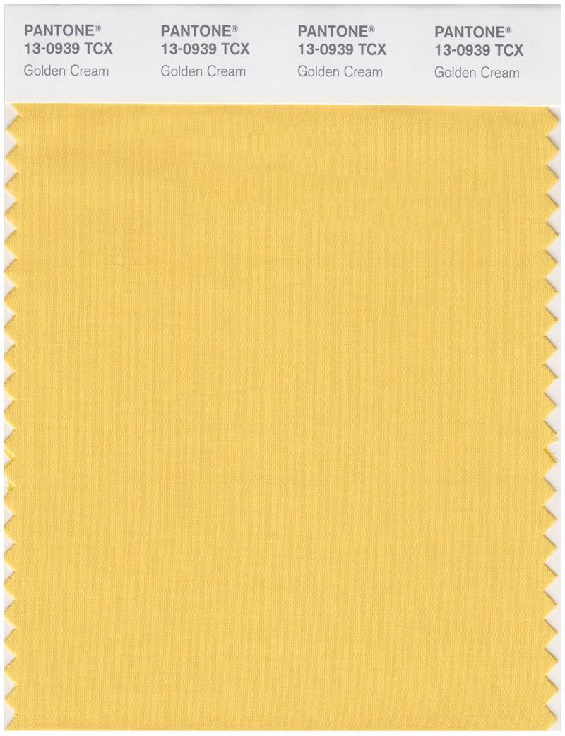 Pantone Smart 13-0939 TCX Color Swatch Card | Golden Cream