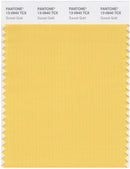 Pantone Smart 13-0940 TCX Color Swatch Card | Sunset Gold