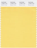 Pantone Smart 13-0941 TCX Color Swatch Card | Banana Cream