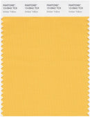Pantone Smart 13-0942 TCX Color Swatch Card | Amber Yellow