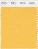 Pantone Smart 13-0945 TCX Color Swatch Card | Pale Marigold