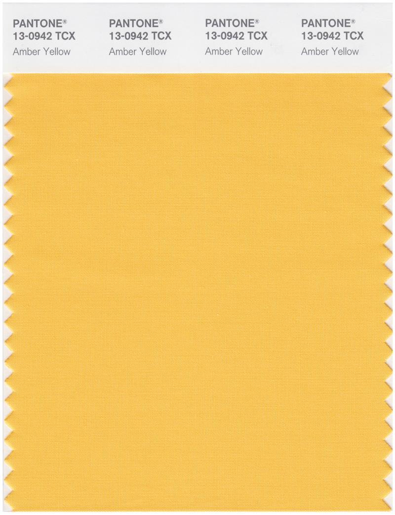 Pantone Smart 13-0945 TCX Color Swatch Card | Pale Marigold