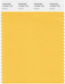 Pantone Smart 13-0947 TCX Color Swatch Card | Banana