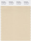 Pantone Smart 13-1006 TCX Color Swatch Card | creme-brulee