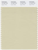 Pantone Smart 13-1007 TCX Color Swatch Card | Oyster White