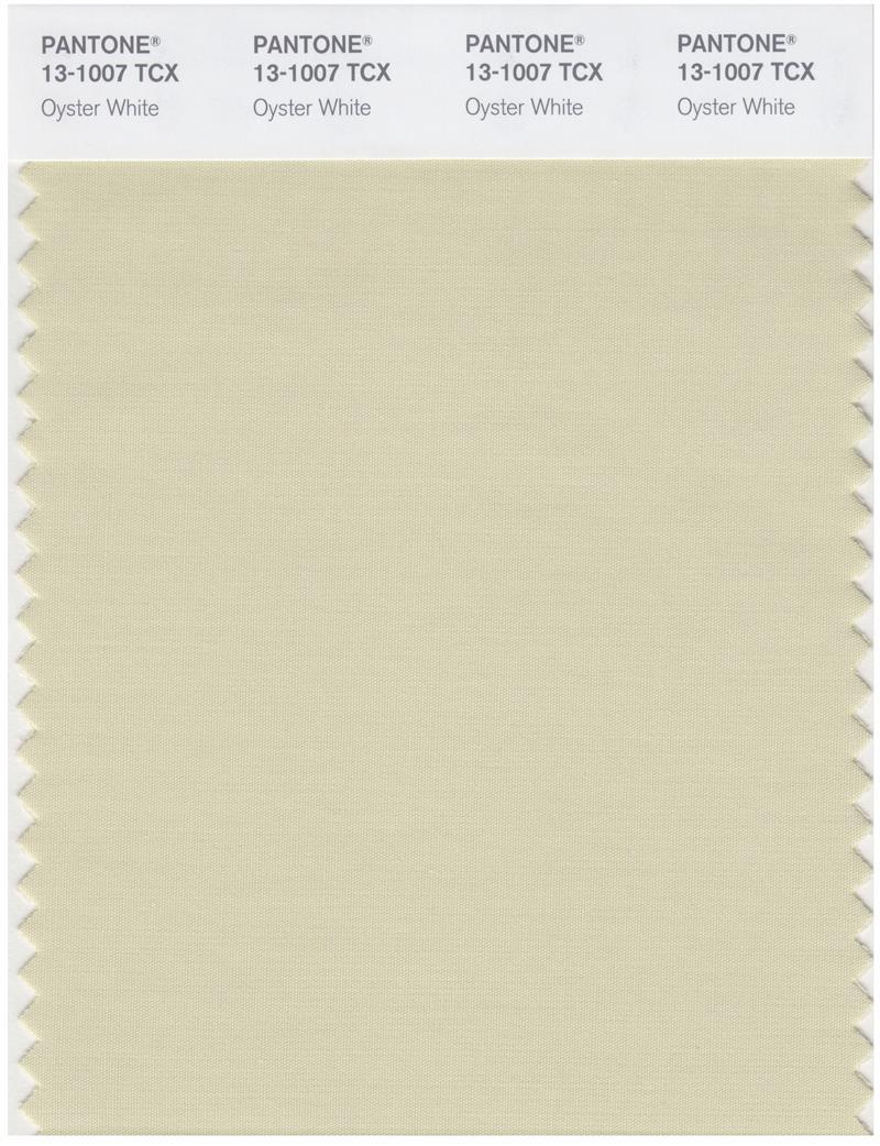 Pantone Smart 13-1007 TCX Color Swatch Card | Oyster White