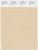 Pantone Smart 13-1009 TCX Color Swatch Card | Biscotti