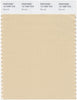 Pantone Smart 13-1009 TCX Color Swatch Card | Biscotti