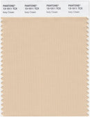 Pantone Smart 13-1011 TCX Color Swatch Card | Ivory Cream