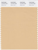 Pantone Smart 13-1014 TCX Color Swatch Card | Mellow Buff