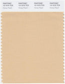 Pantone Smart 13-1015 TCX Color Swatch Card | Honey Peach