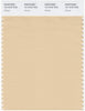 Pantone Smart 13-1016 TCX Color Swatch Card | Wheat