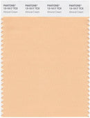 Pantone Smart 13-1017 TCX Color Swatch Card | Almond Cream