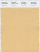 Pantone Smart 13-1018 TCX Color Swatch Card | Desert Dust