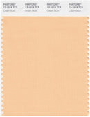 Pantone Smart 13-1019 TCX Color Swatch Card | Cream Blush