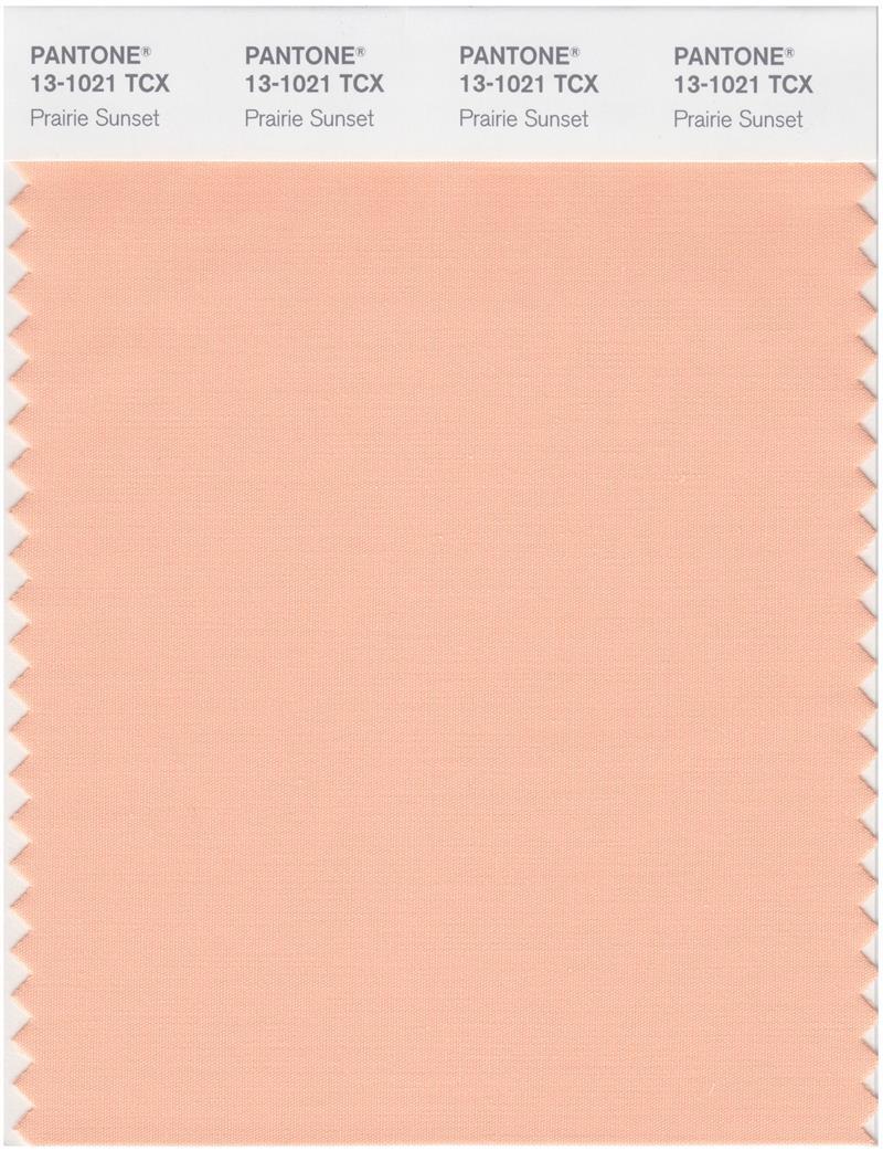Pantone Smart 13-1021 TCX Color Swatch Card | Prairie Sunset | Magazine ...