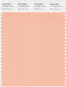 Pantone Smart 13-1021 TCX Color Swatch Card | Prairie Sunset