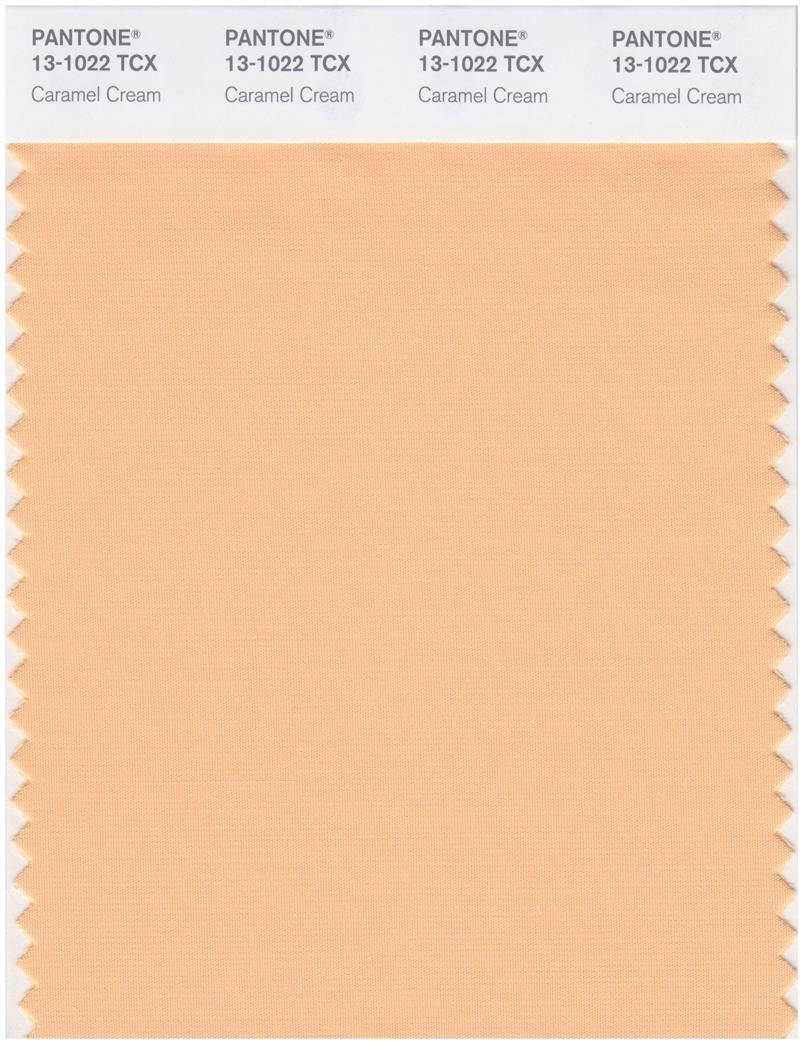 Pantone Smart 131022 TCX Color Swatch Card Caramel Cream Magazine