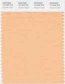 Pantone Smart 13-1022 TCX Color Swatch Card | Caramel Cream