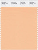 Pantone Smart 13-1023 TCX Color Swatch Card | Peach Fuzz