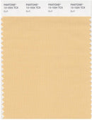 Pantone Smart 13-1024 TCX Color Swatch Card | Buff