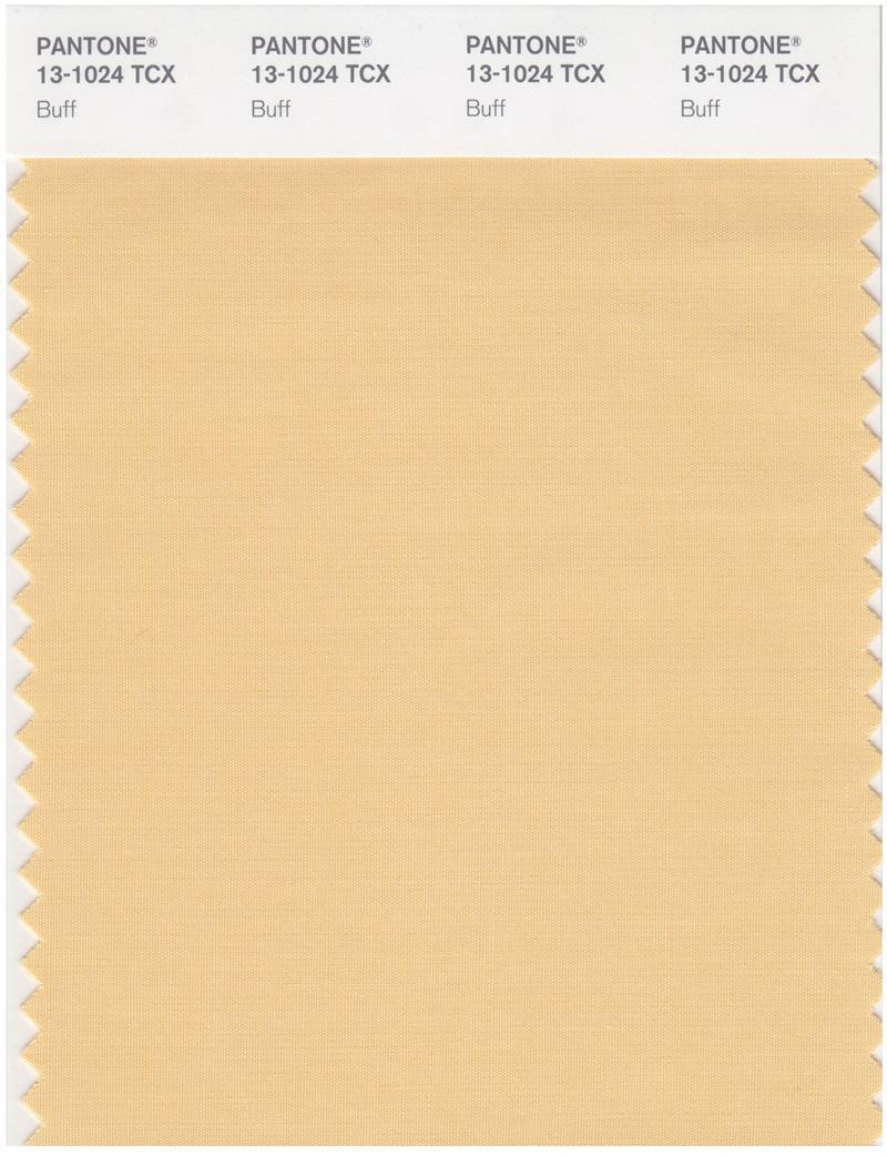 Pantone Smart 13-1024 TCX Color Swatch Card | Buff
