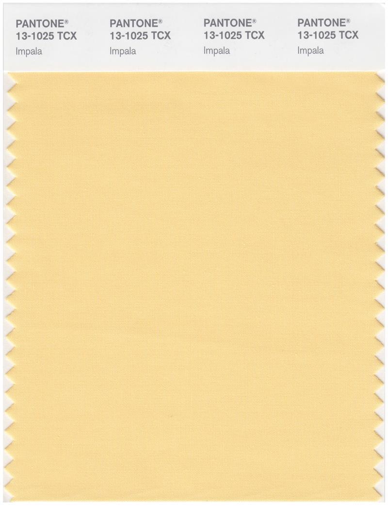 pantone 13s