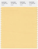 Pantone Smart 13-1025 TCX Color Swatch Card | Impala