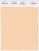 Pantone Smart 13-1026 TCX Color Swatch Card | Creampuff