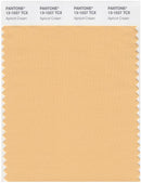 Pantone Smart 13-1027 TCX Color Swatch Card | Apricot Cream
