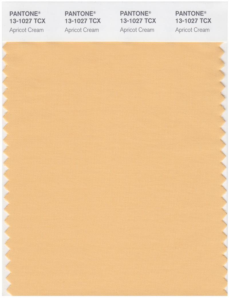 Pantone Smart 13-1027 TCX Color Swatch Card | Apricot Cream