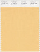 Pantone Smart 13-1030 TCX Color Swatch Card | Sunburt