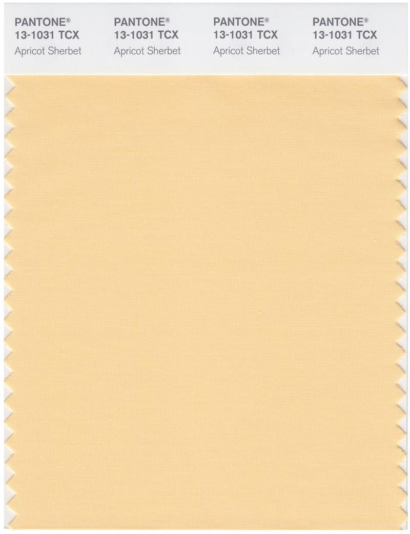 Pantone Smart 13-1031 TCX Color Swatch Card | Apricot Sherbet