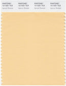 Pantone Smart 13-1031 TCX Color Swatch Card | Apricot Sherbet