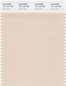Pantone Smart 13-1106 TCX Color Swatch Card | Sand Dollar