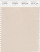 Pantone Smart 13-1107 TCX Color Swatch Card | Whisper Pink