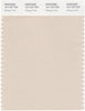 Pantone Smart 13-1107 TCX Color Swatch Card | Whisper Pink