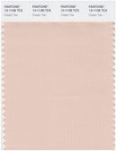Pantone Smart 13-1108 TCX Color Swatch Card | Cream Tan