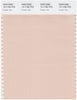 Pantone Smart 13-1108 TCX Color Swatch Card | Cream Tan