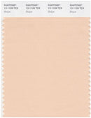Pantone Smart 13-1109 TCX Color Swatch Card | Bisque