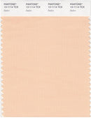 Pantone Smart 13-1114 TCX Color Swatch Card | Bellini