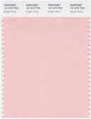 Pantone Smart 13-1310 TCX Color Swatch Card | English Rose