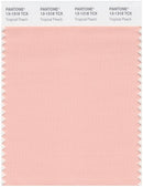 Pantone Smart 13-1318 TCX Color Swatch Card | Tropical Peach